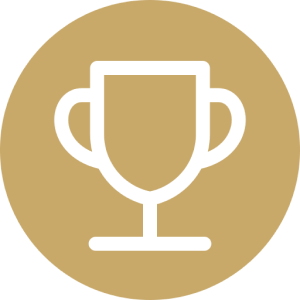 webagency-about-icon-3